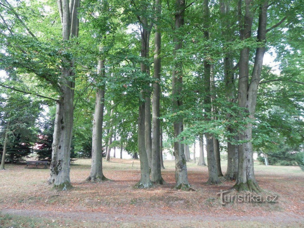 In de stadstuinen