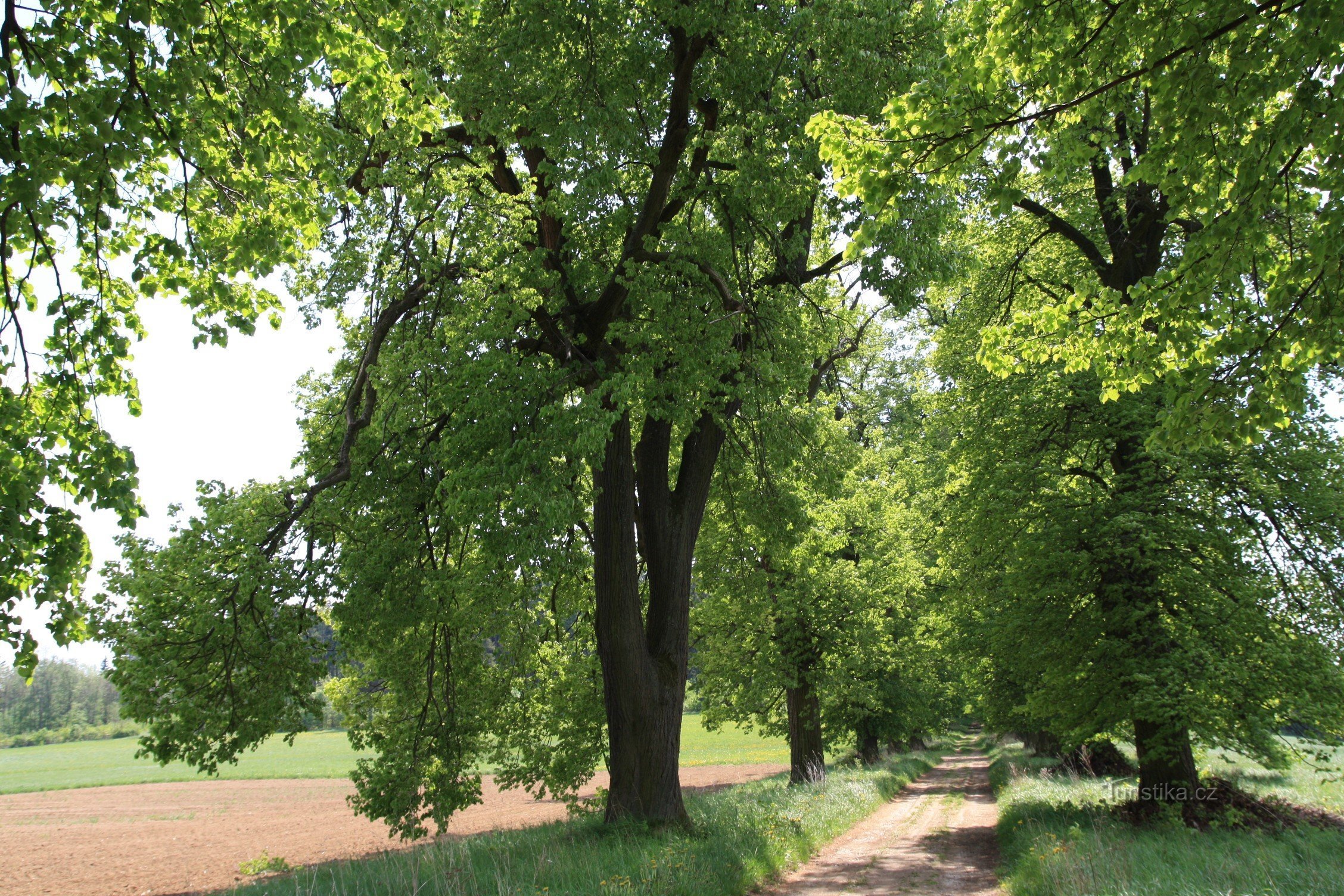 À Novodvorská aleja