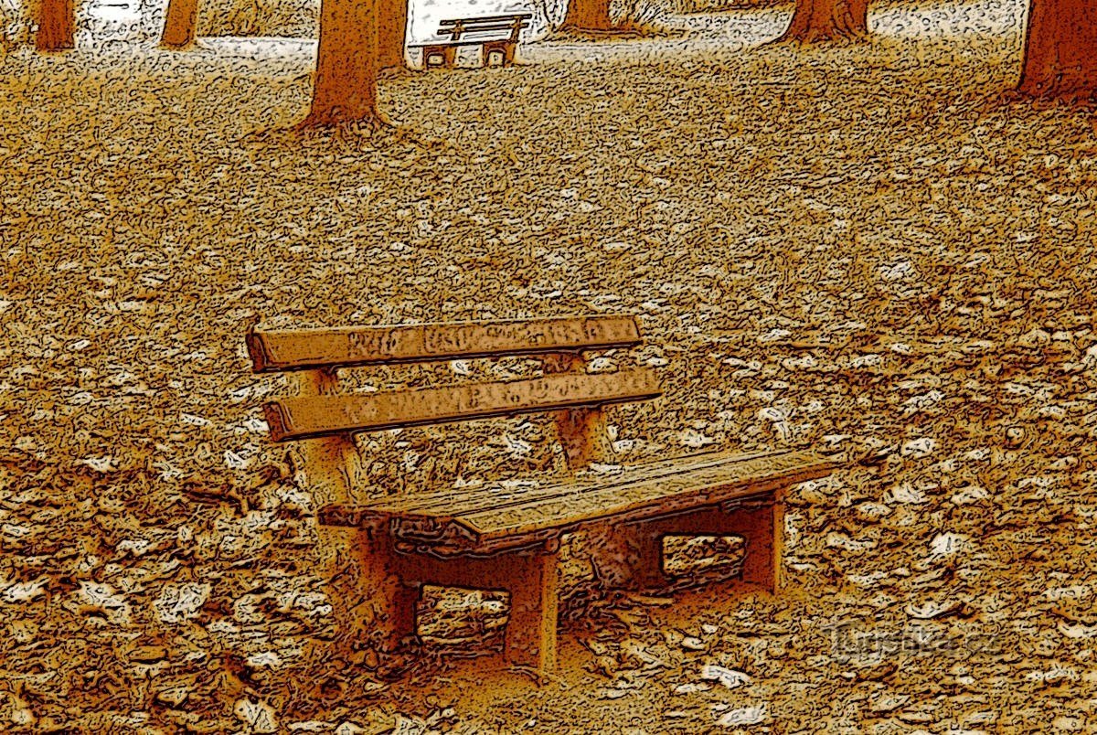 nel parco sopra la diga di Kudlovská