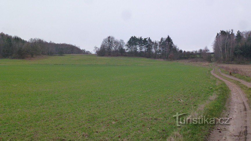 halverwege slaan we linksaf tussen de velden door naar Na Dílech