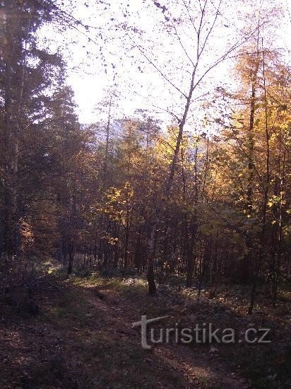 in the background the Cubans during the descent from Ostružná to Hůrky II