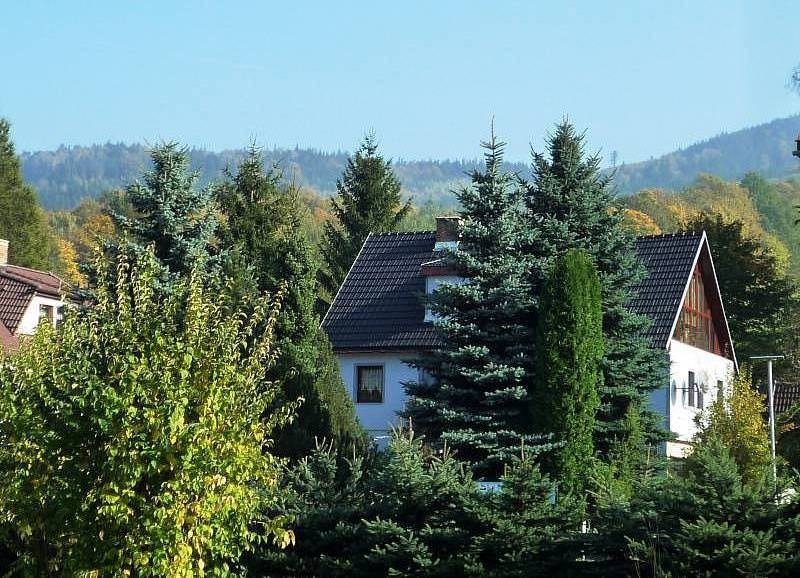 A vendégház hátterében a Česká Ves-i tanösvény található Čertovy Kamenybe