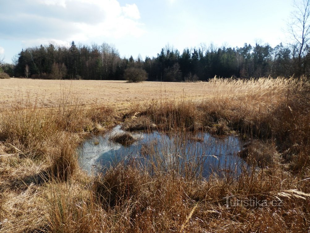 In een natuurgebied