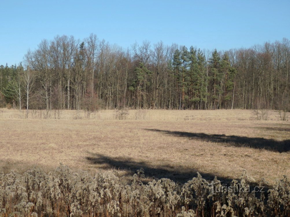 In a nature reserve