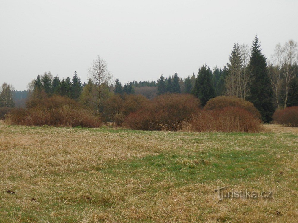 In einem Naturschutzgebiet