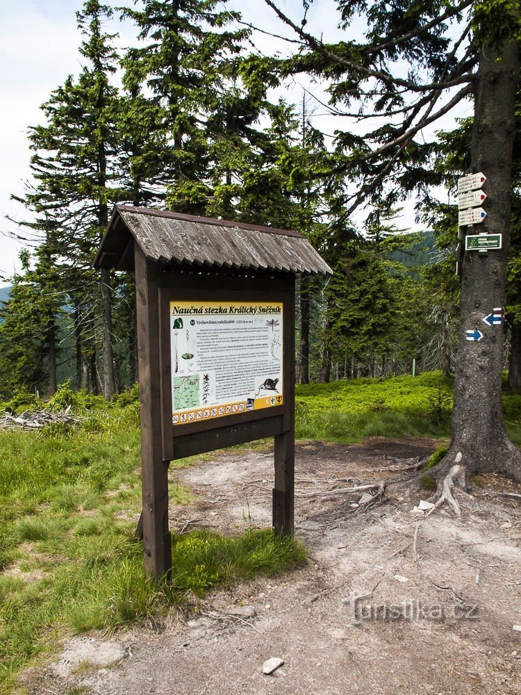 En la silla de montar bajo Králický Sněžnik