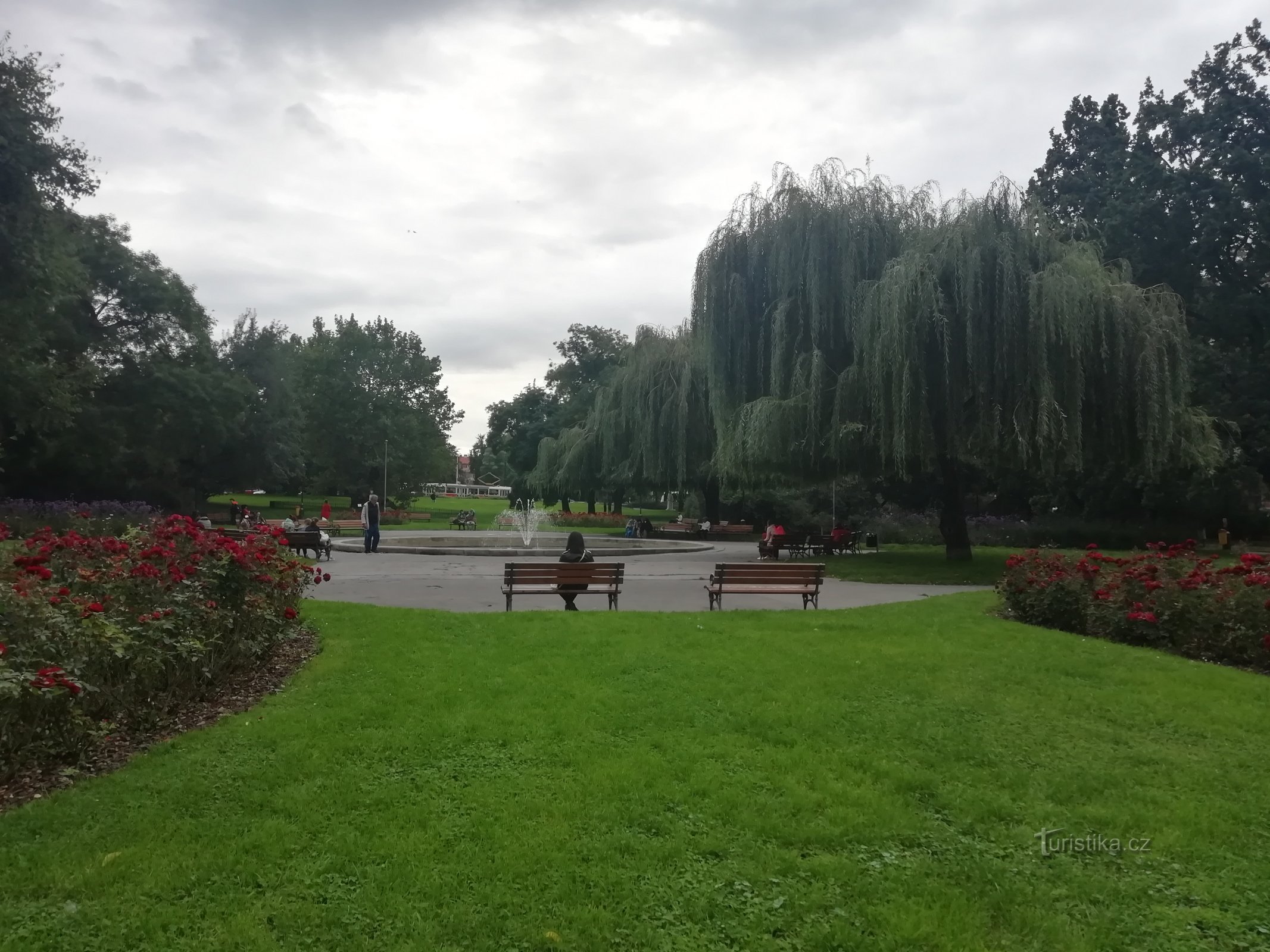 în partea centrală a parcului