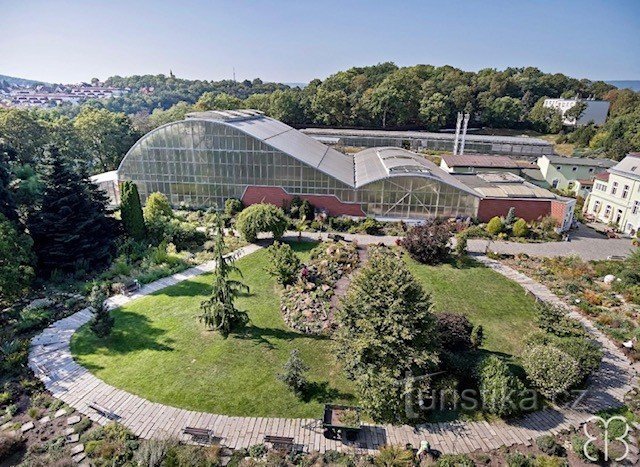 In Teplice mit dem Zug zum Botanischen Garten.