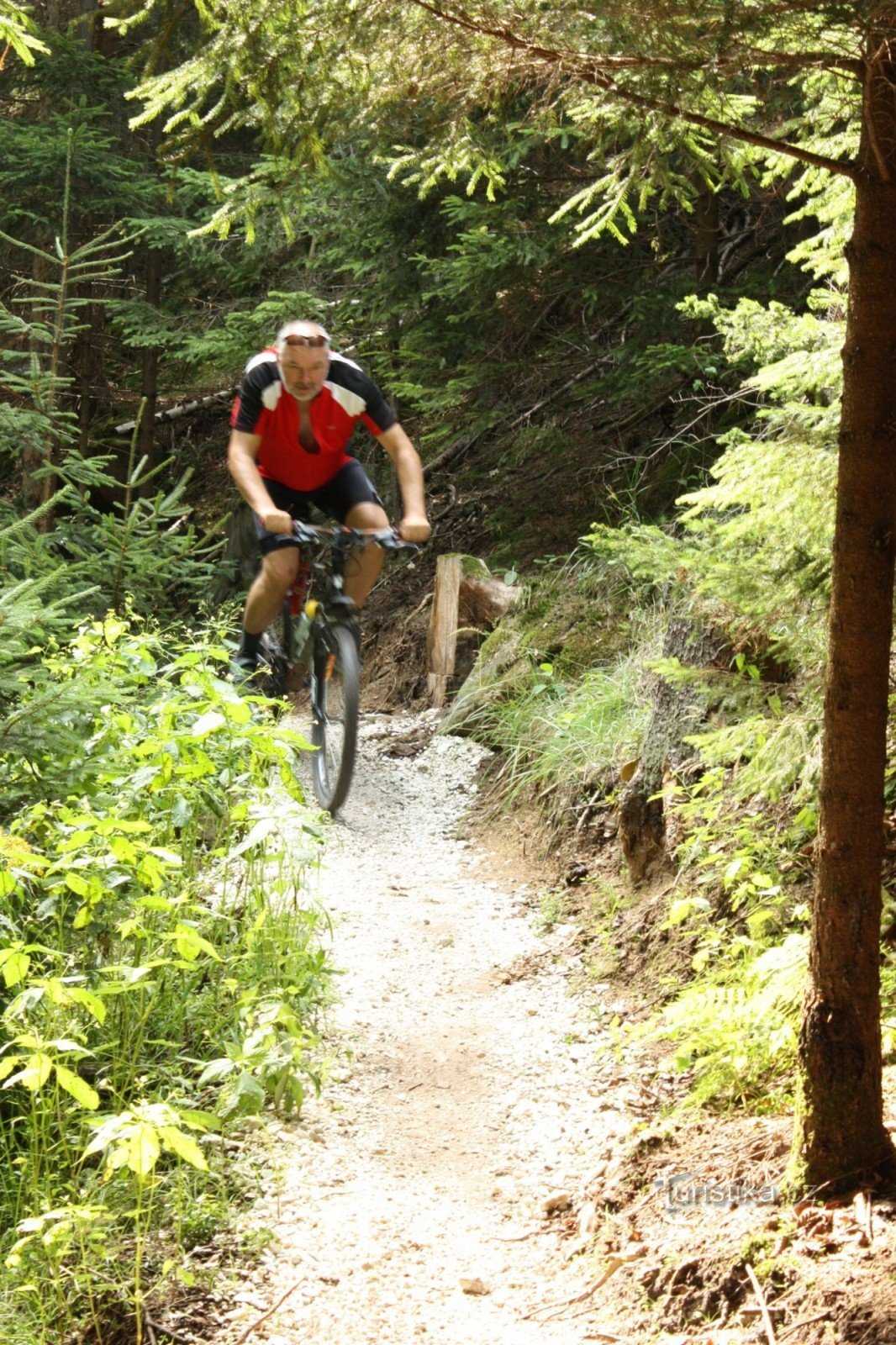 In the terrain on Rychlebské stézky