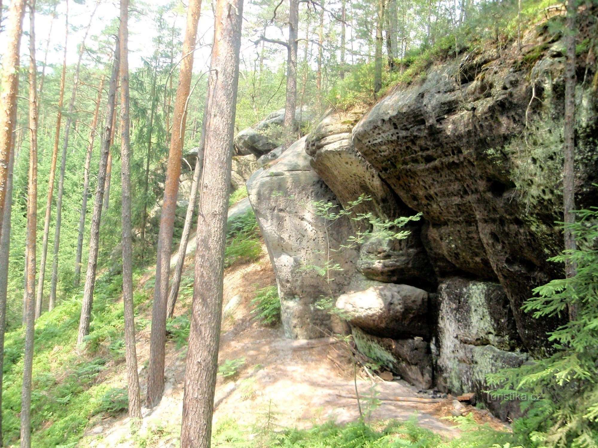 Dans une vallée