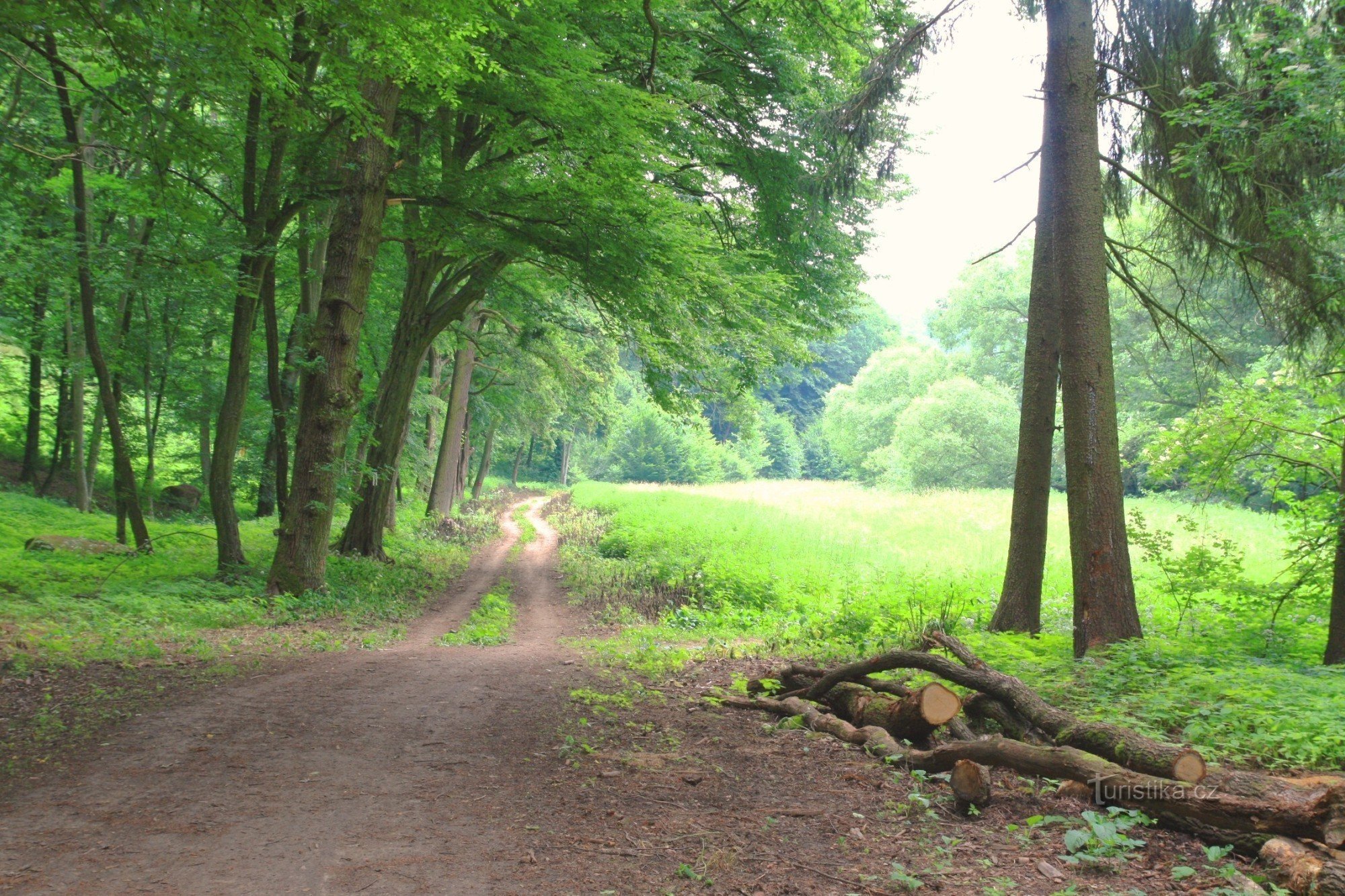 In de Bobrava-vallei op de toeristische route