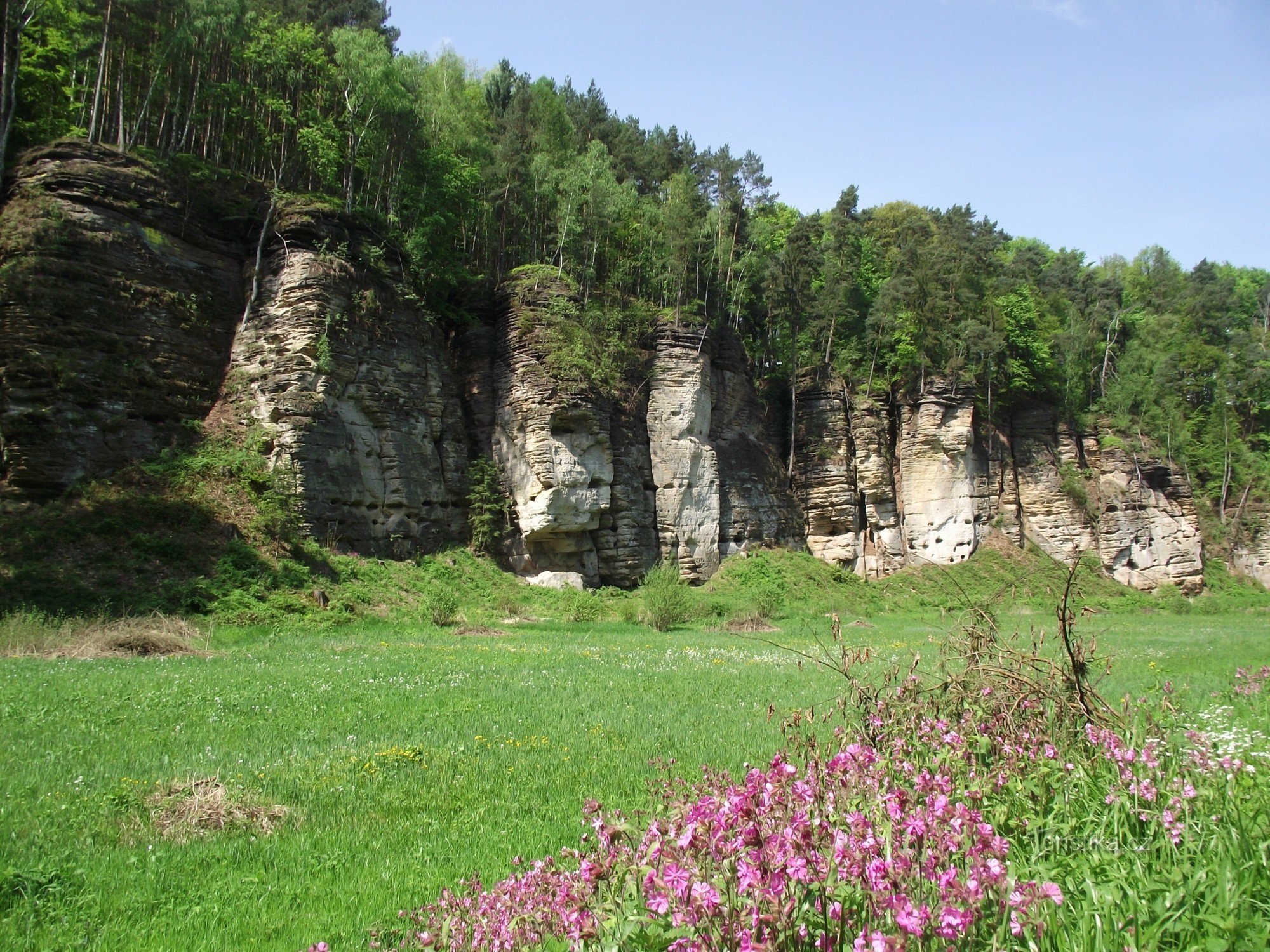 в долине Плаканек