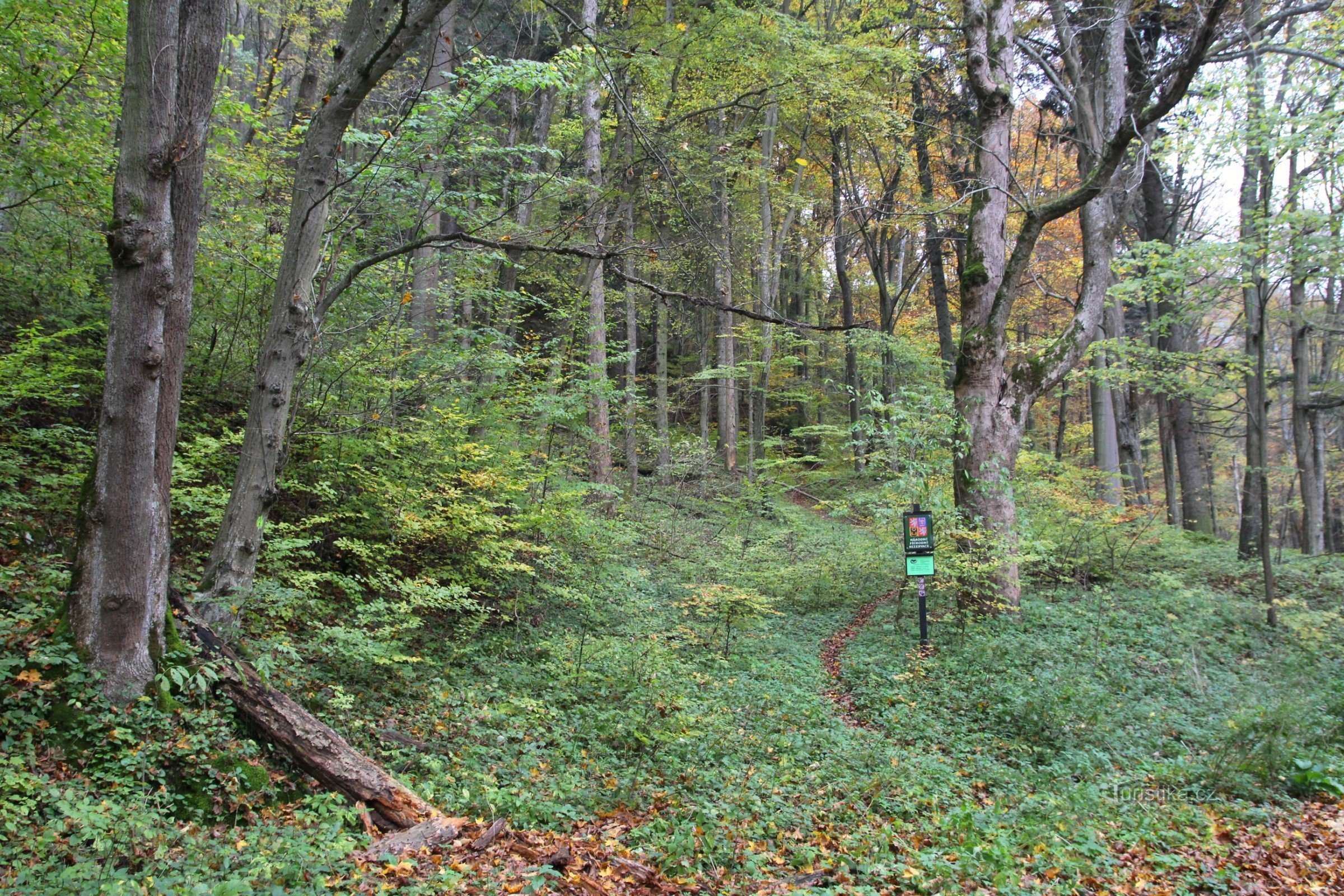 In the Punkva valley