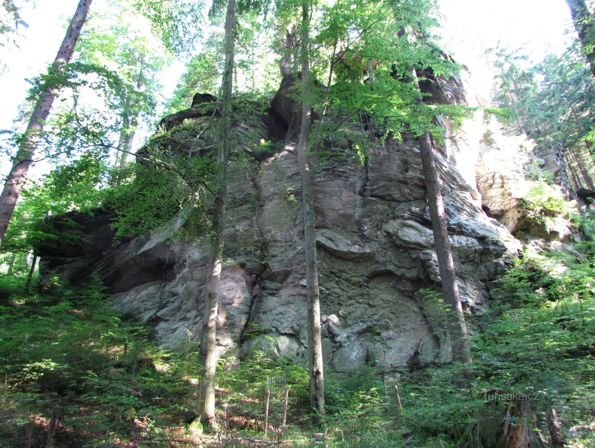 V údolí Skalního potoka