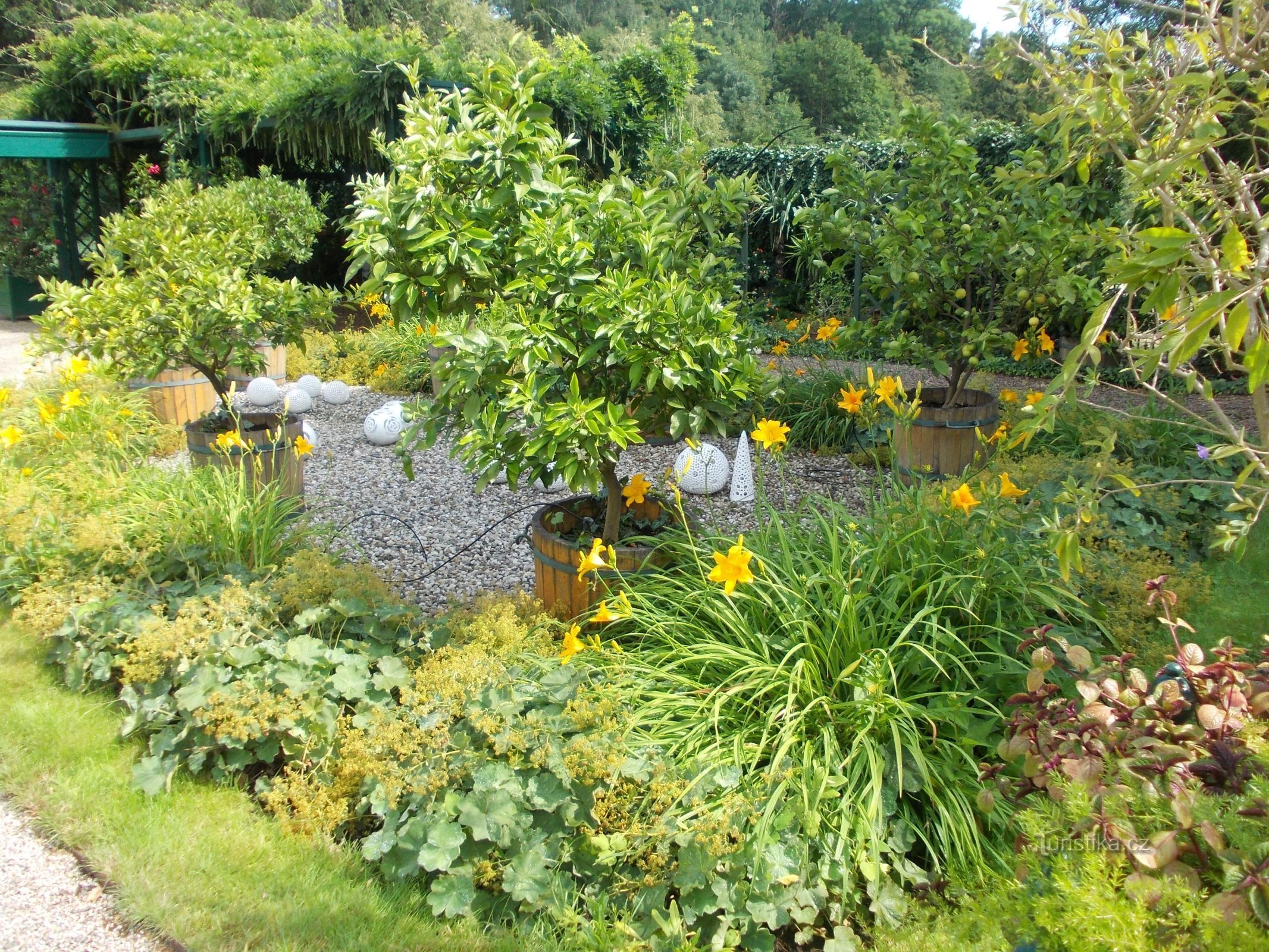 庭で - 緑、花、石、陶器