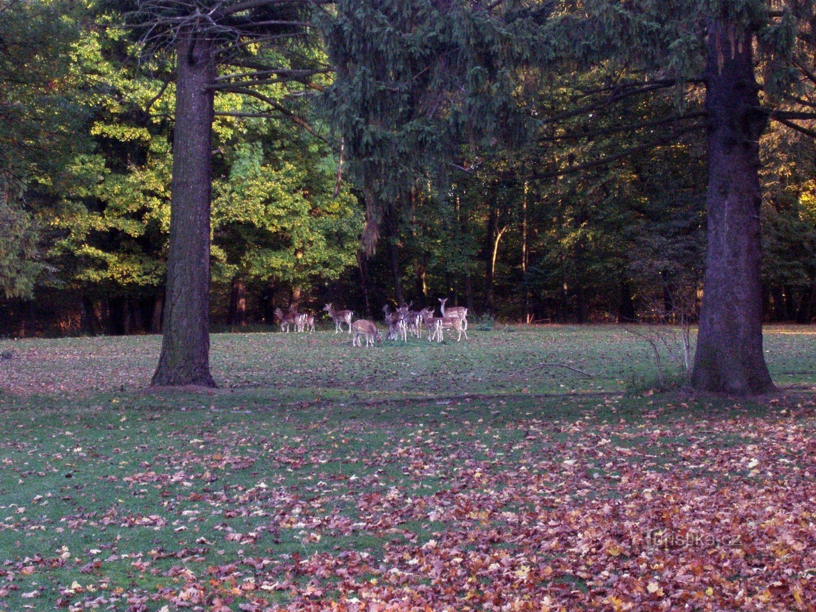 dans le parc du château