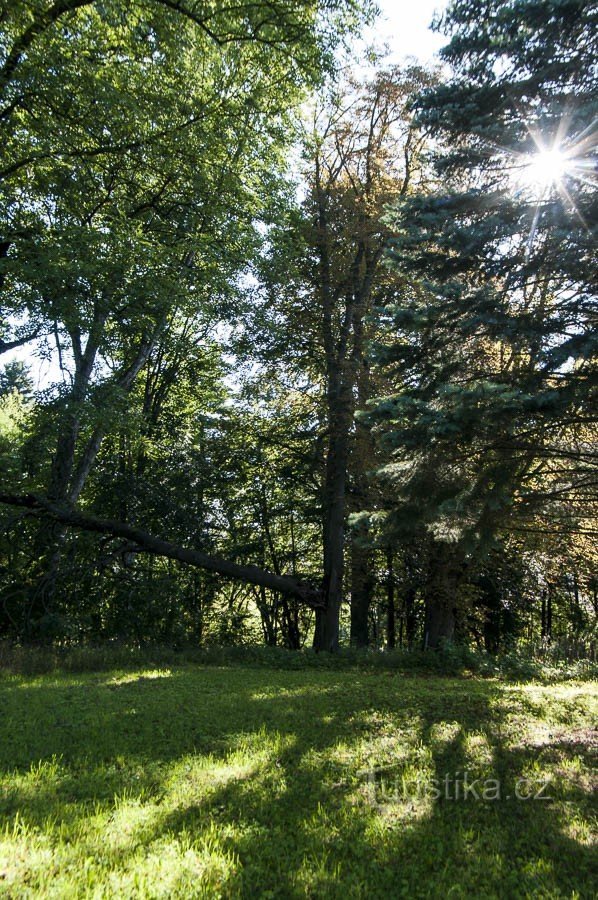 В замковом парке