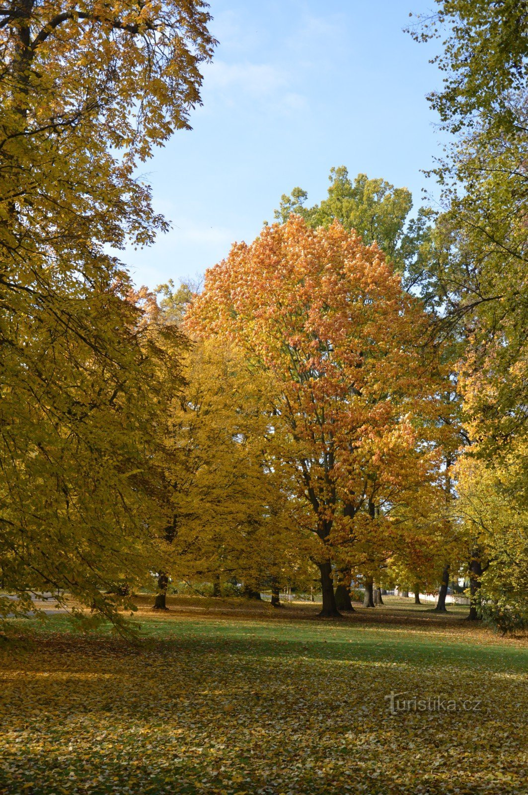 in het kasteelpark