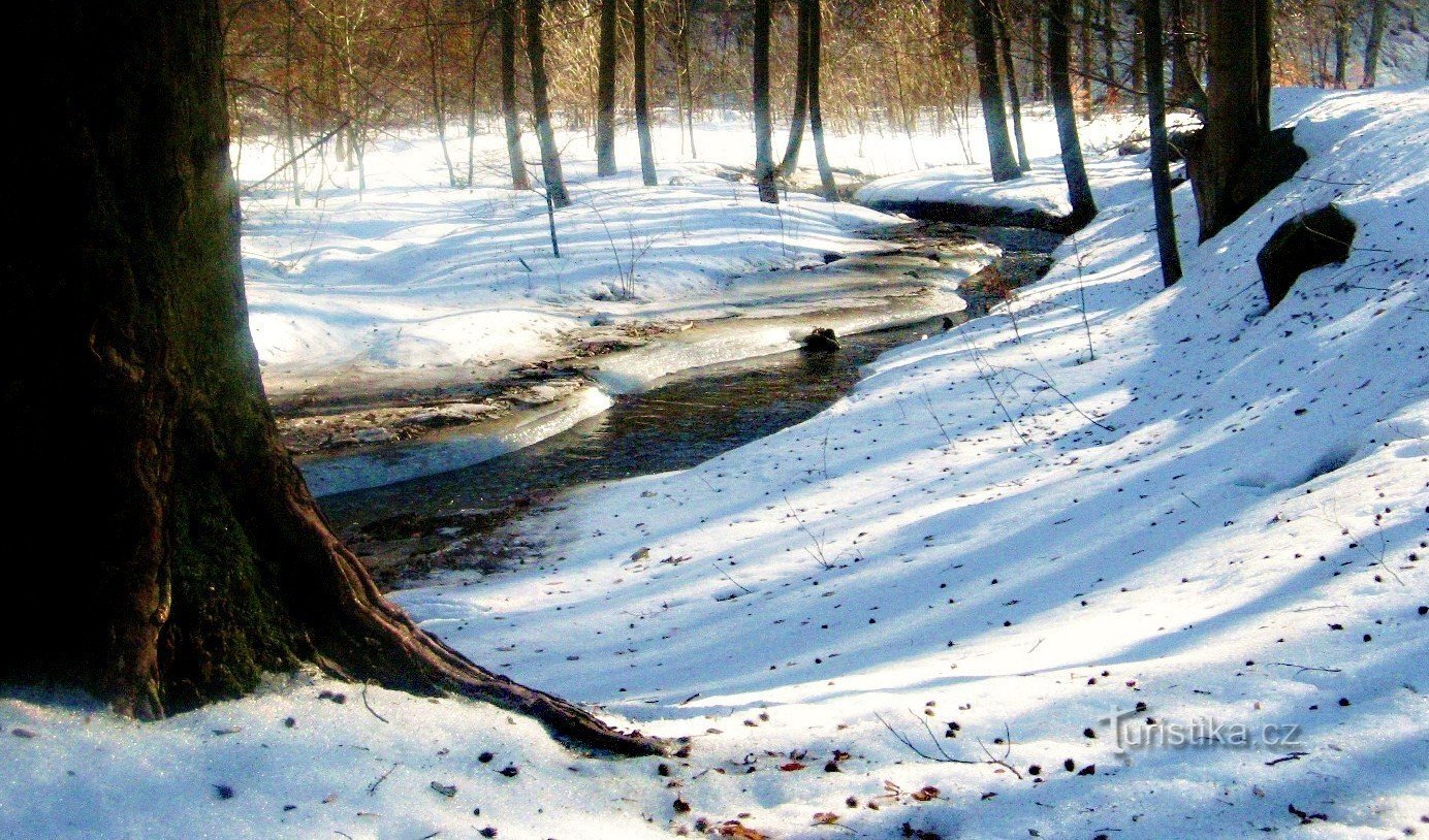 En hiver - de Tesák autour de Čerňava