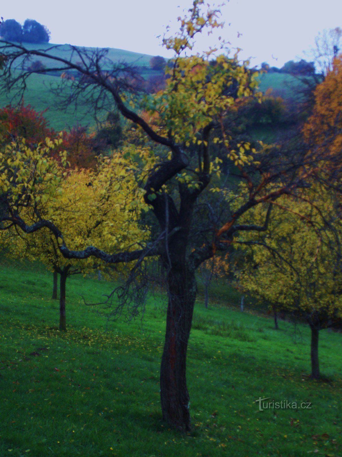 Casa de campo de Valaquia - Bukoriška - alojamiento en Velké Karlovice