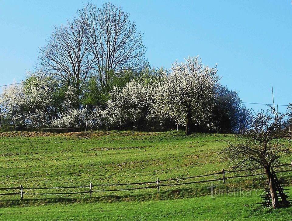 Valašská Seninka