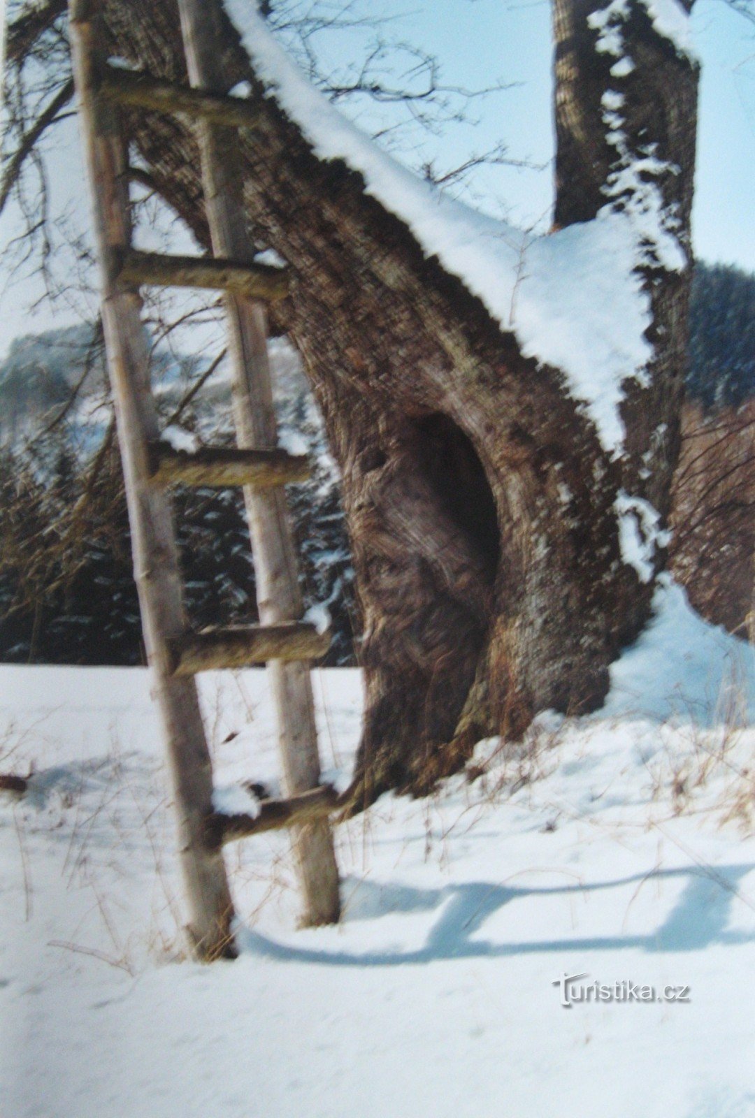 Walachischer Winter in Držková