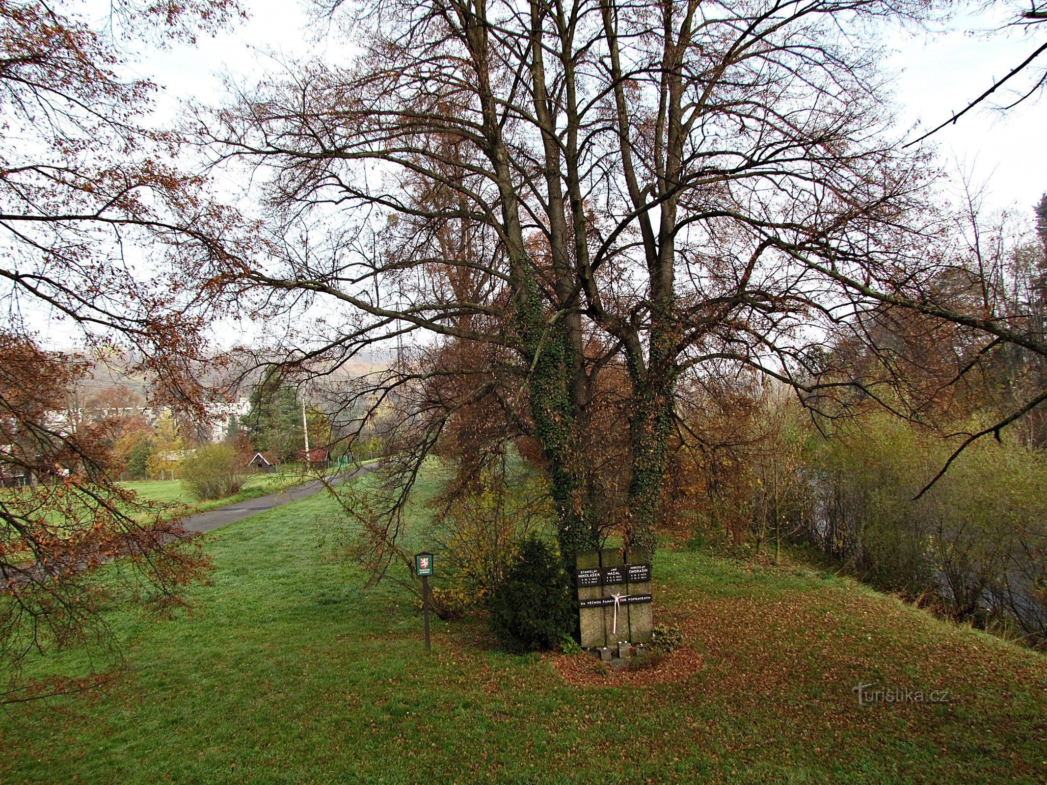 Valašské Meziříčí - Denkmal und Linden der hingerichteten Patrioten