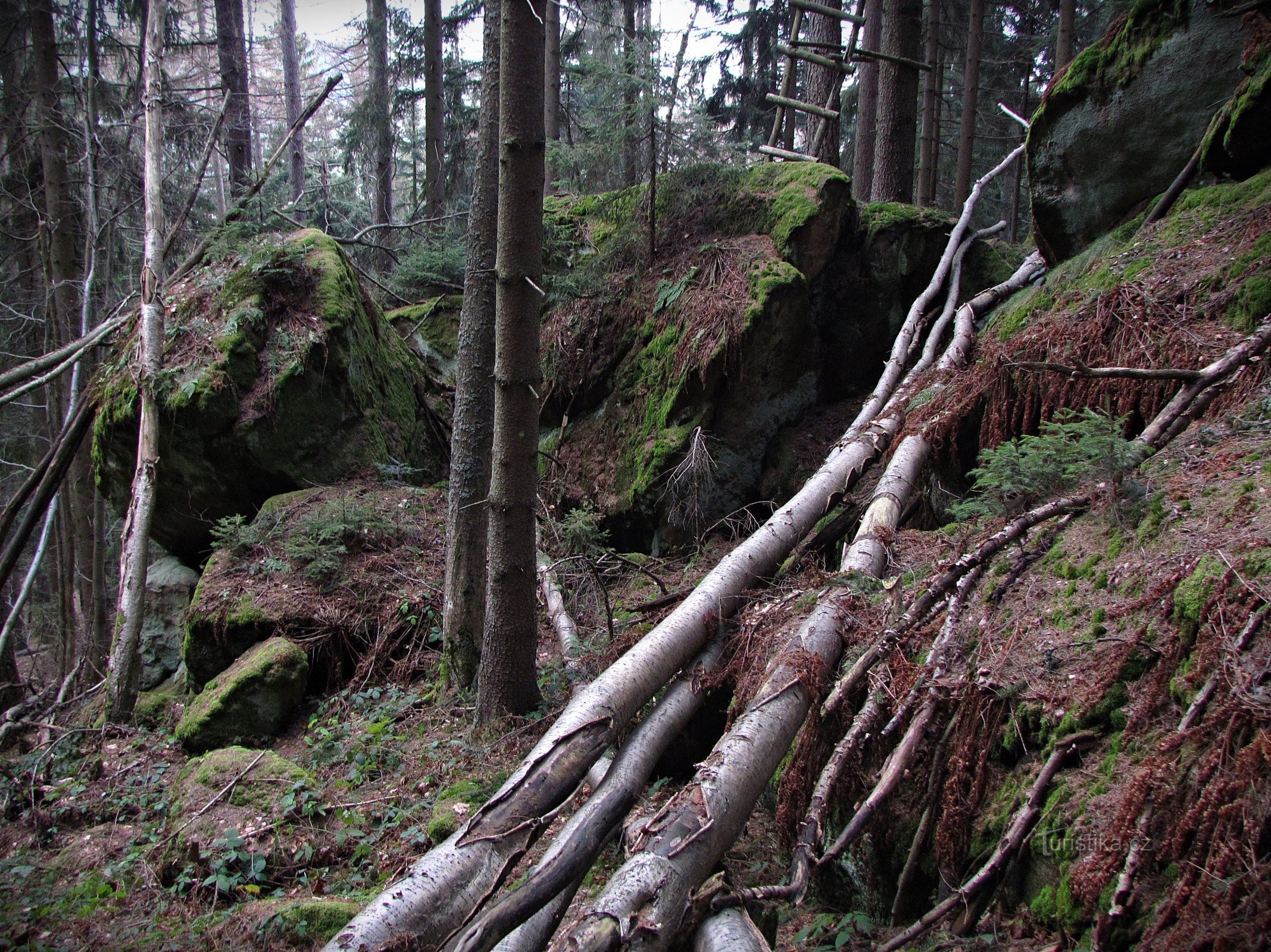 Valašskosenicko - Kamienie deszczowe