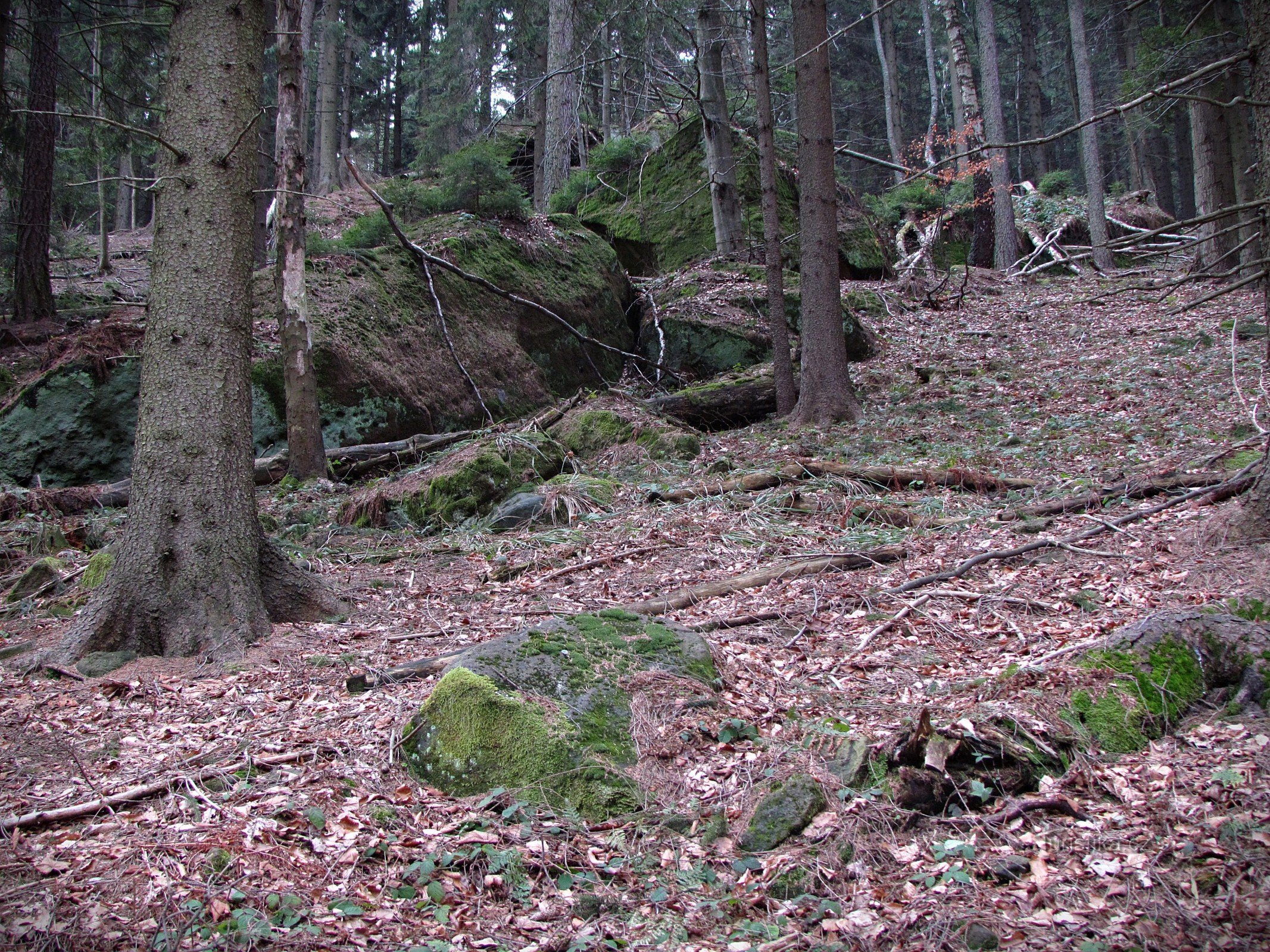 Valašskosenicko - Pedras de chuva