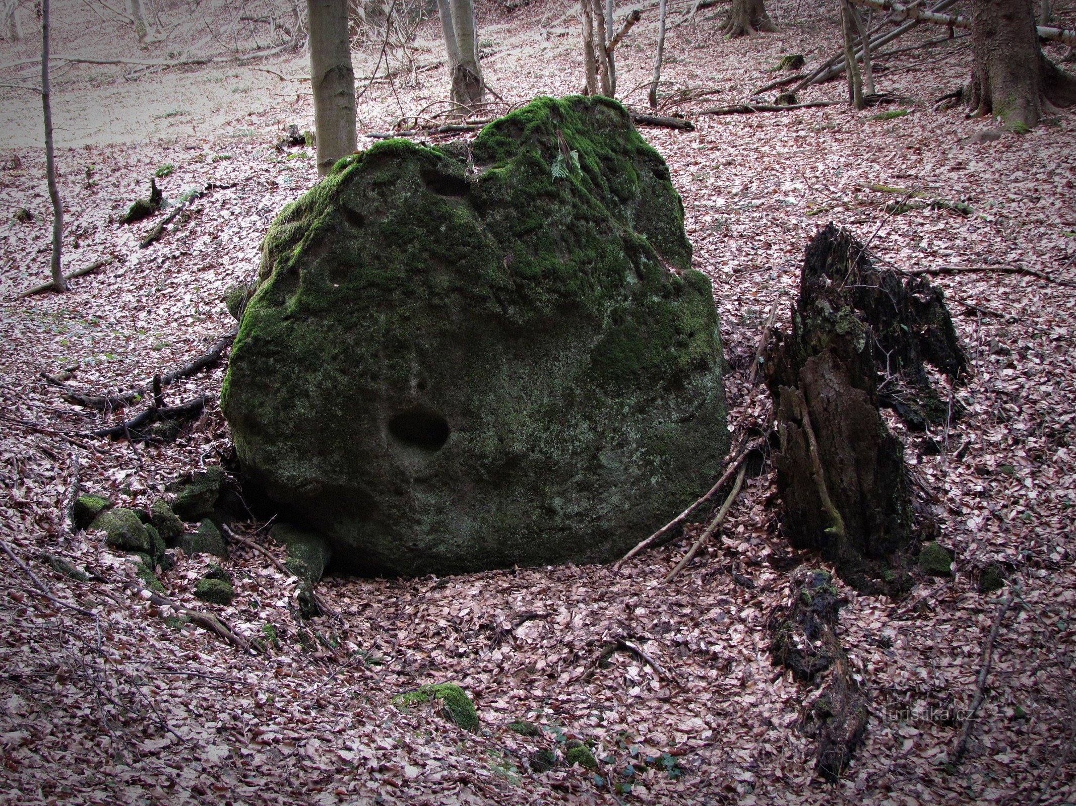 Valašskosenicko - Zelený kámen と Rodinka
