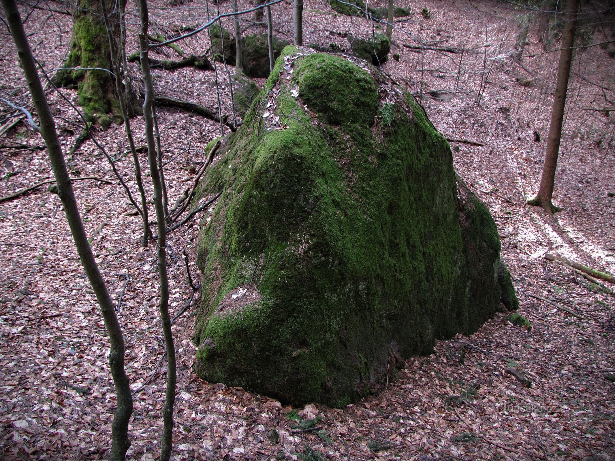 Valašskosenicko - Zelený kámen と Rodinka