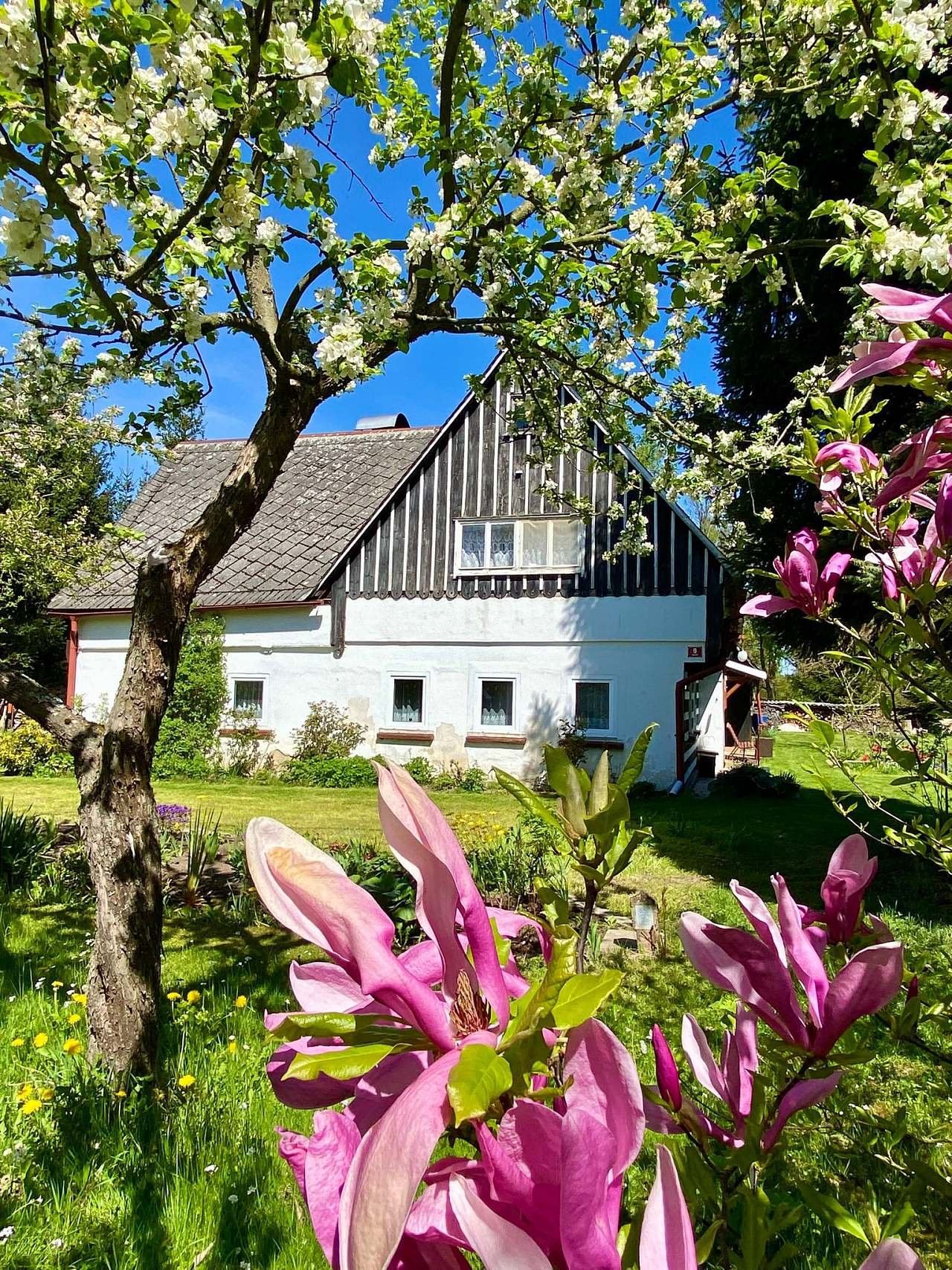 Valdovínka