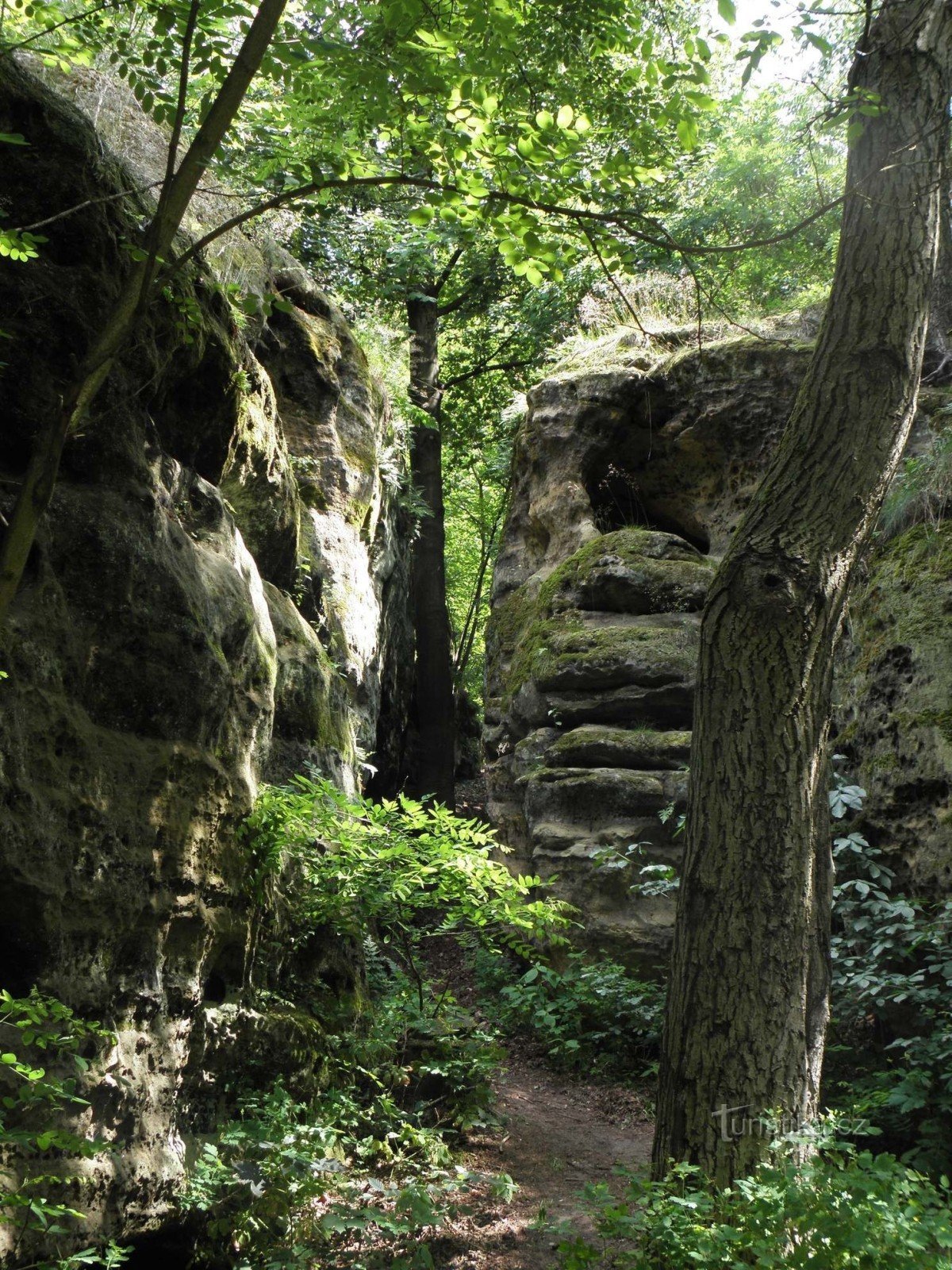 Valečovské скеля - 1.7.2011