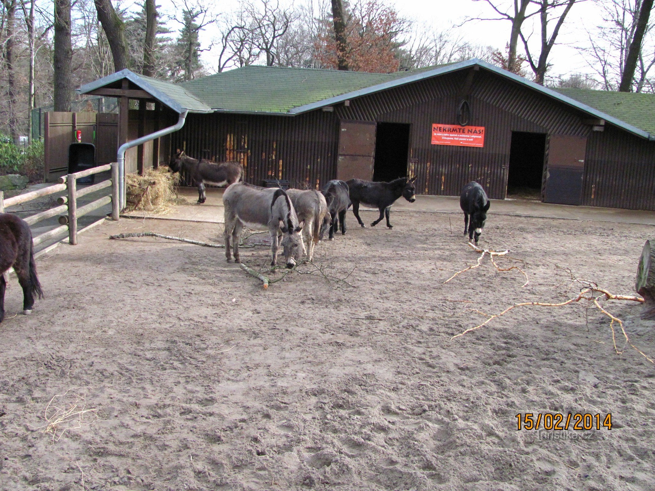 Valentinsdag i Ostrava Zoo