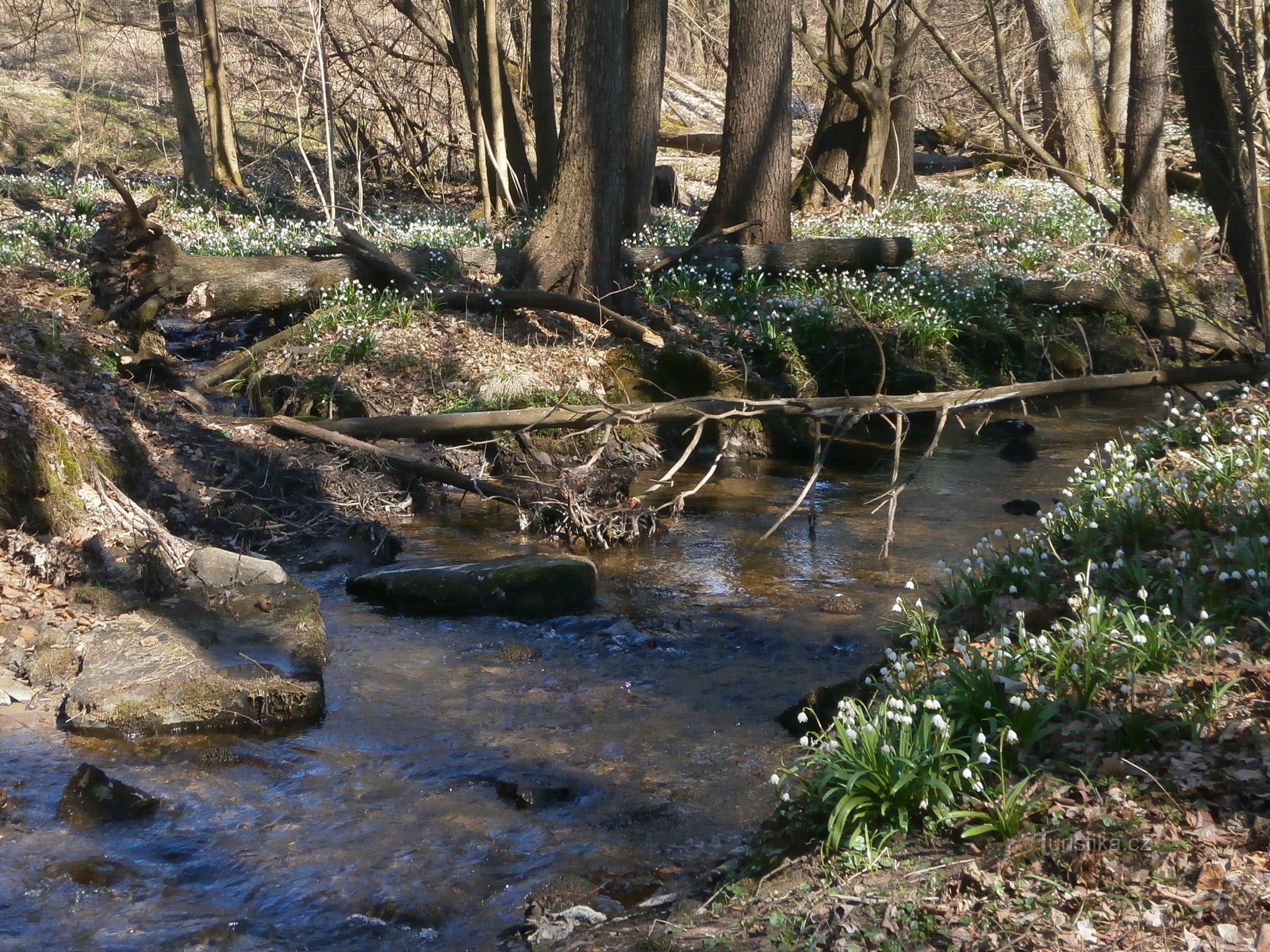 Válovický potok (Chlistov)