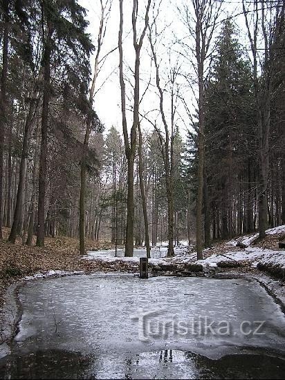 Valšovice lakes