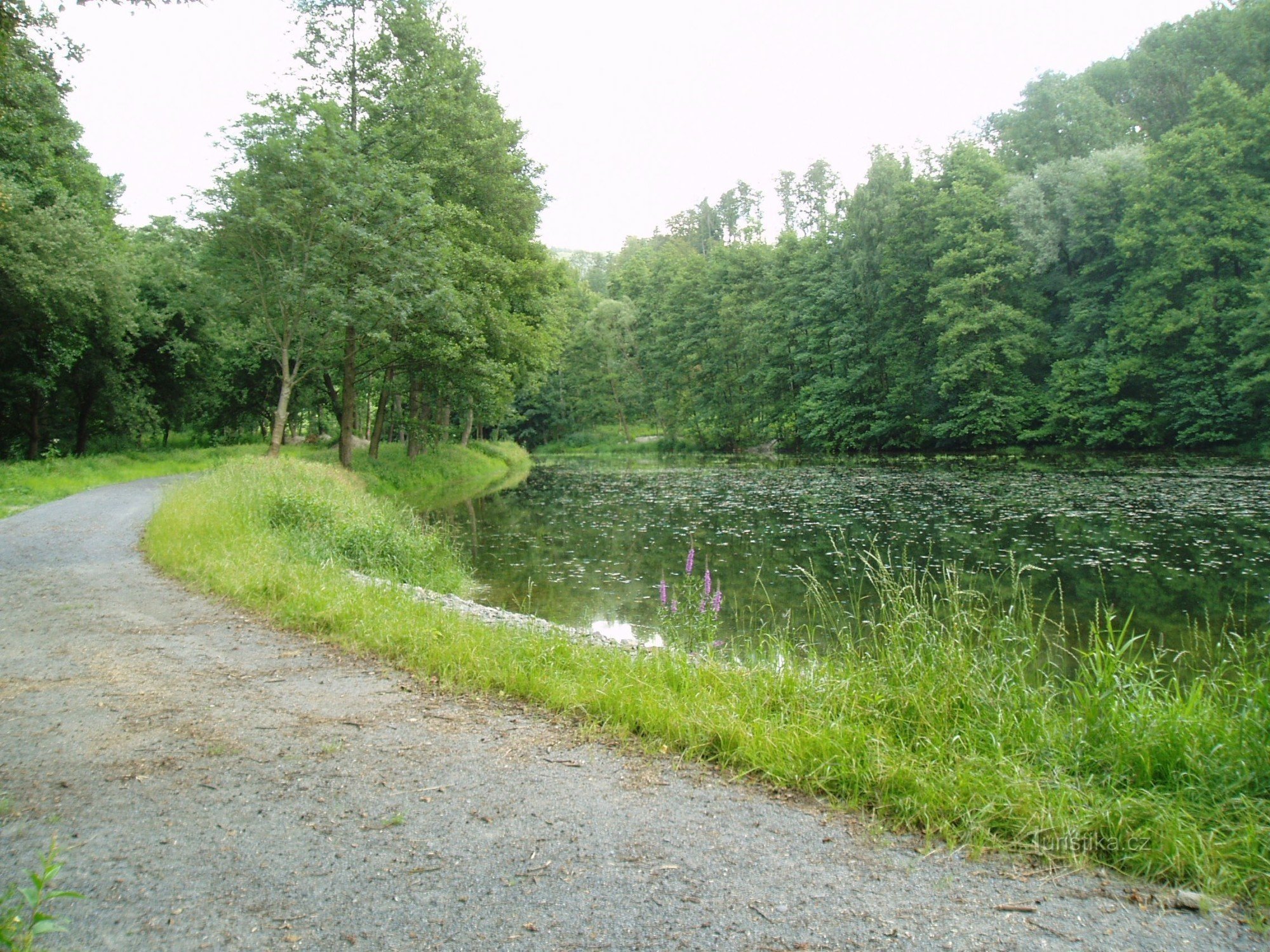 Valšovský tó