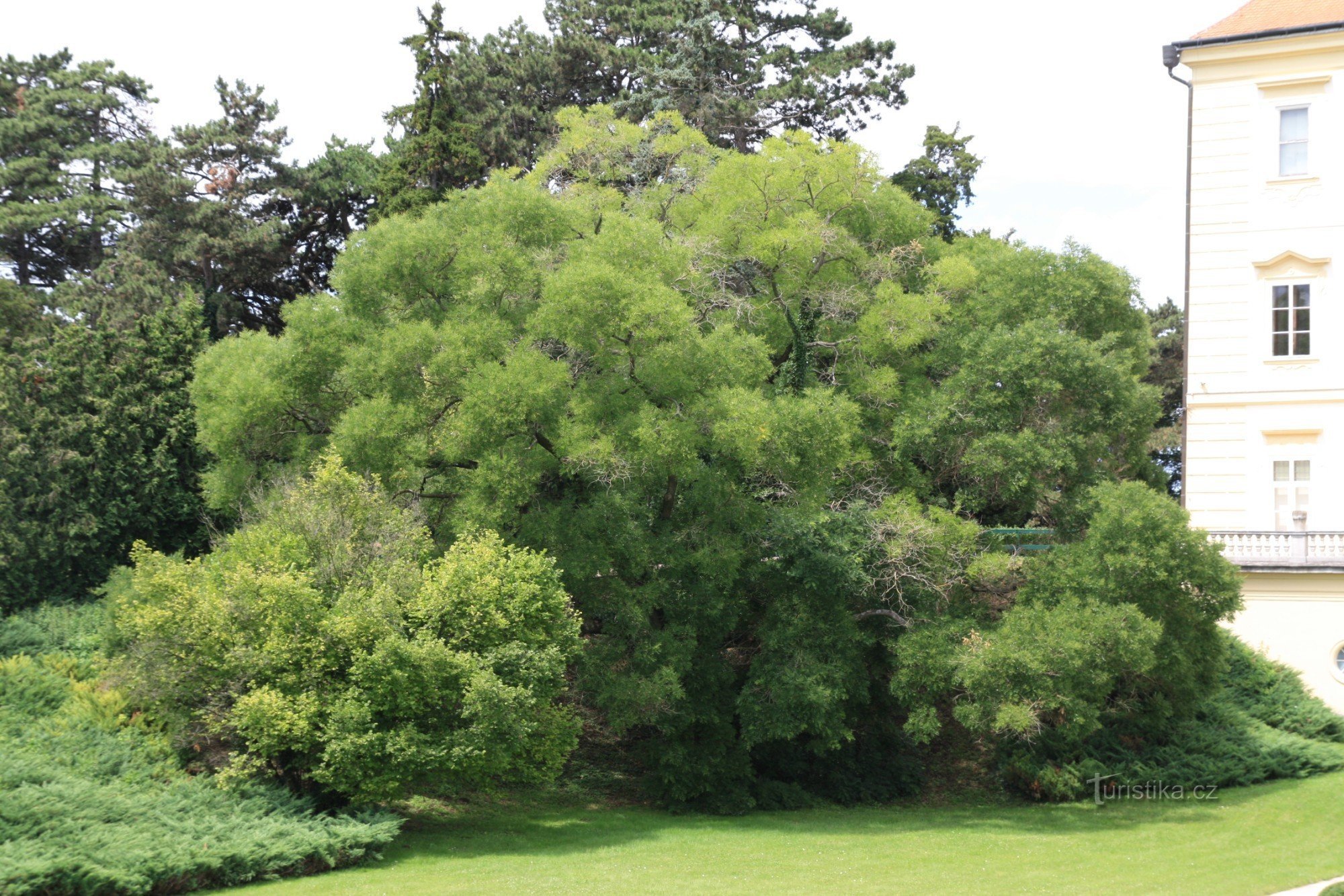 Valtice - Schlosspark