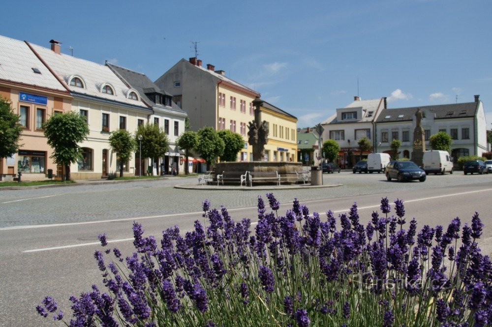 Vamberk in den Farben der Provence