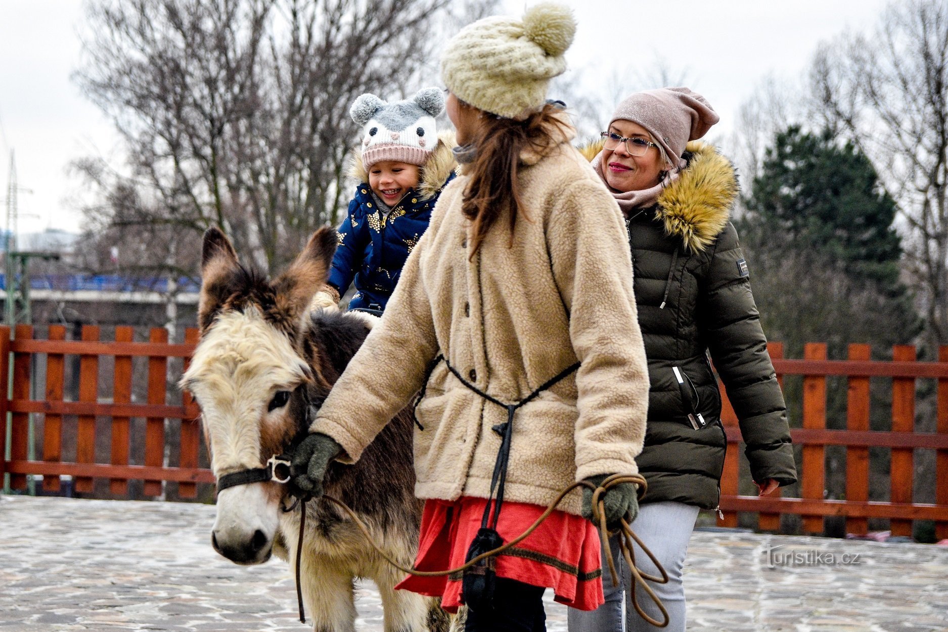 Navidad en el castillo de Silesia Ostrava 2019