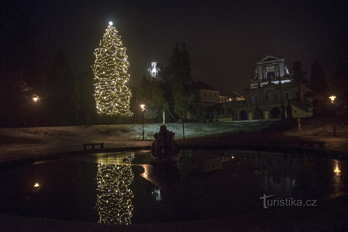 Klášterec nad Ohří juletræ