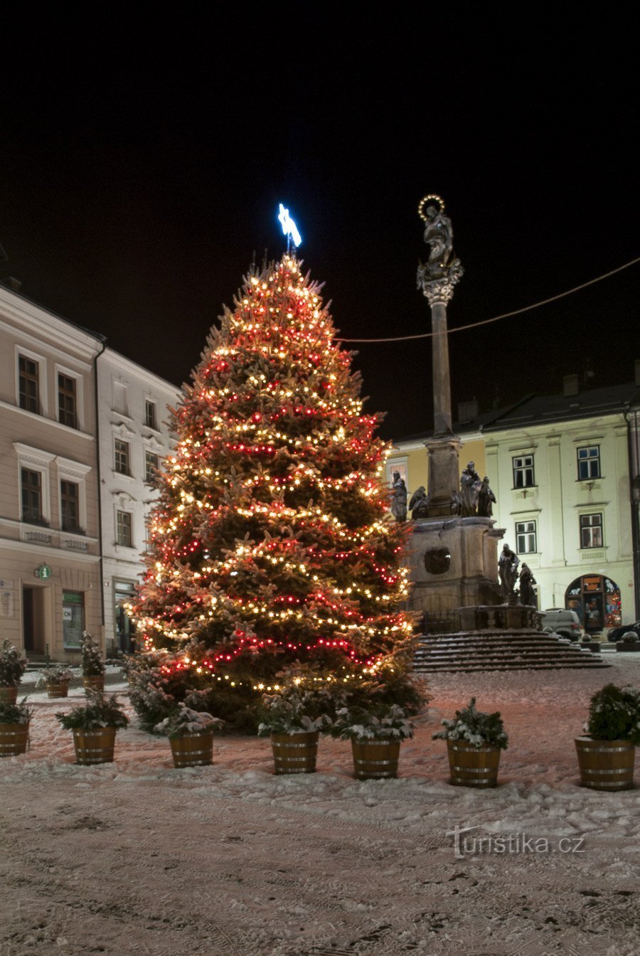 Kerstboom op het gemeentehuis van voorgaande jaren