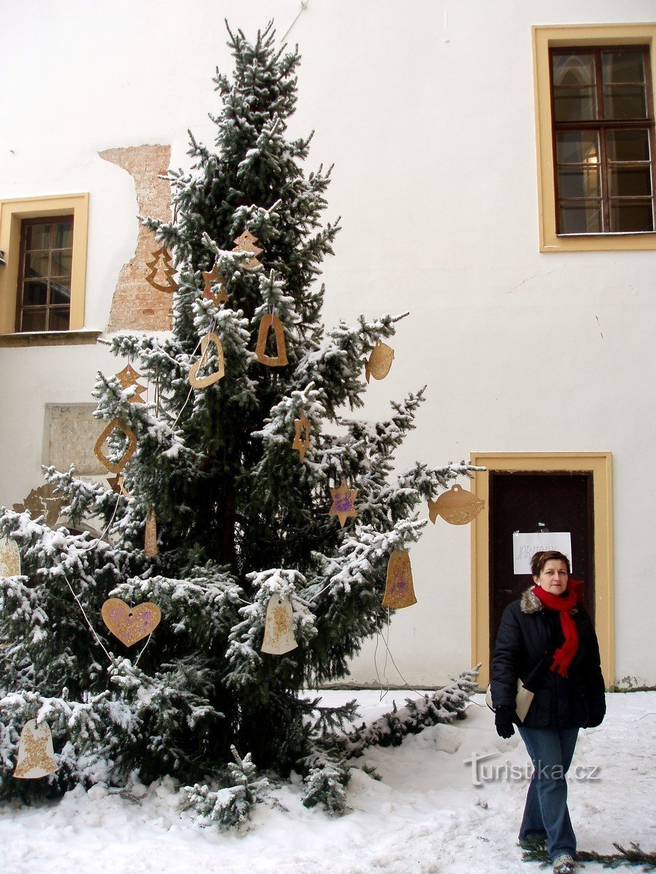 Julgran på innergården