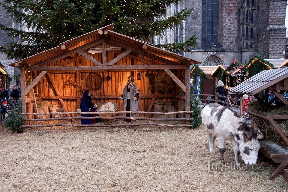 Julmarknader, advent - Pilsen 2021