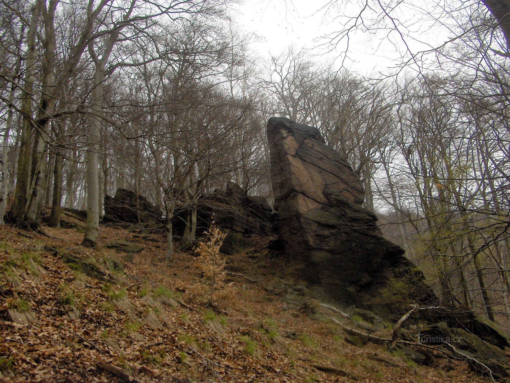 Torre di Natale.