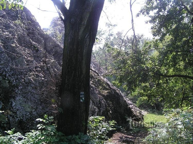 Pedra de Váň: Vista da pedra a partir da placa de sinalização
