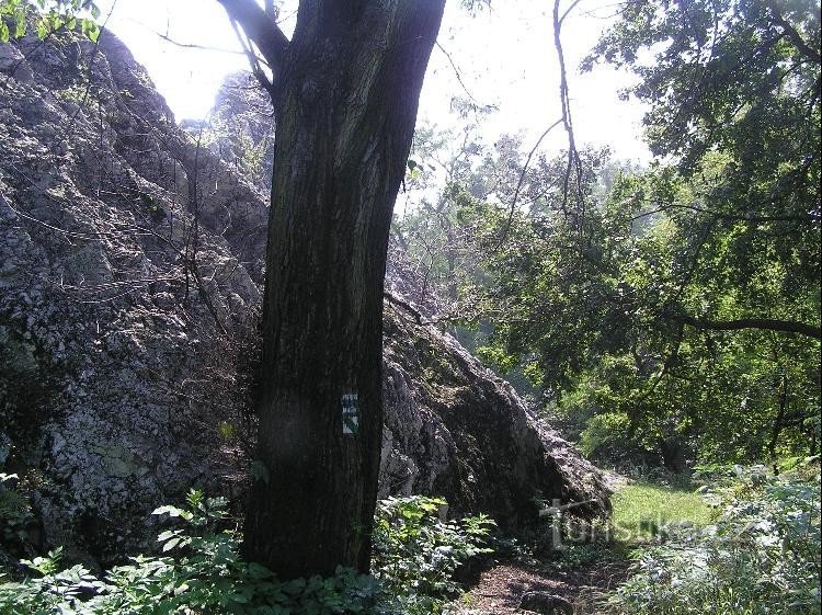 Váň's stone: View of the stone from the signpost