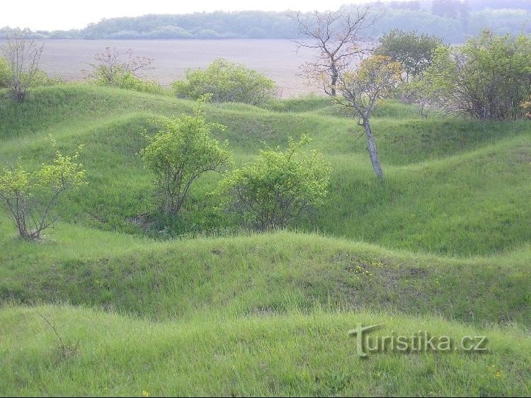 Mészkő