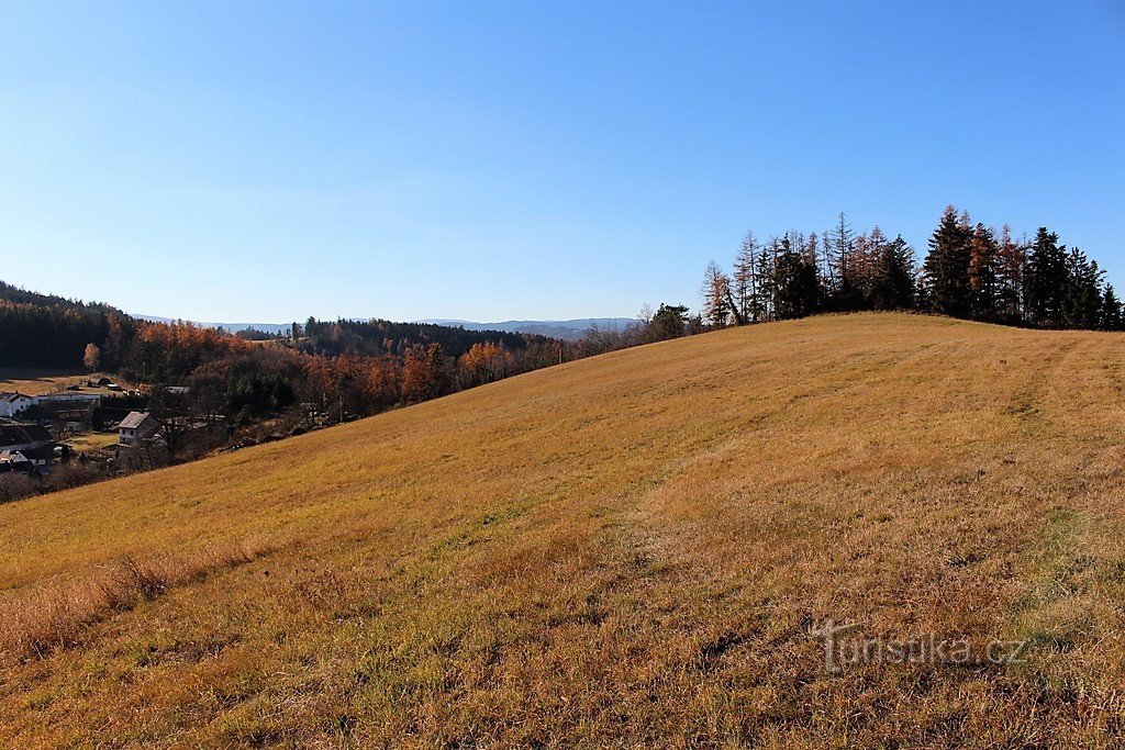 Kalksten i baggrunden, lidt af Šumava