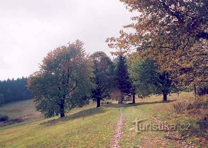 Vařák's glades